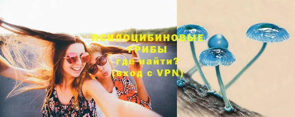 гашик Аркадак