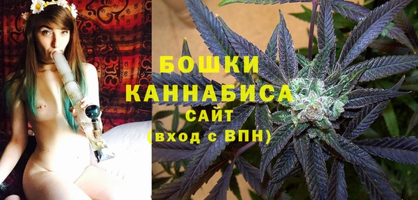 гашик Аркадак