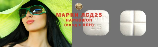 гашик Аркадак