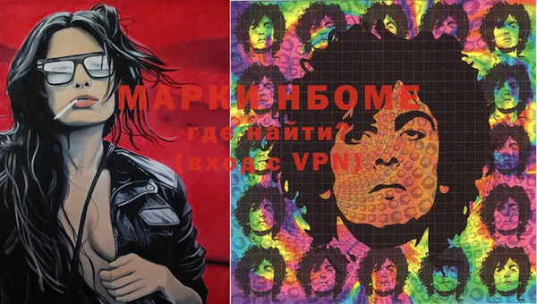 гашик Аркадак