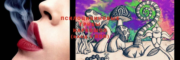 гашик Аркадак