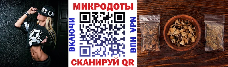 omg вход  Бабушкин  Псилоцибиновые грибы мицелий 